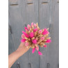Mini bouquet  de fleurs séchées "Chypre"